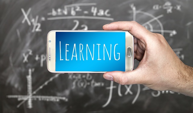 Zukunftsorientierte Studiengänge An Handelshochschulen